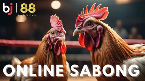 sabong weapons|Asil Fighting Roosters: The Pride of Sabong Philippines.